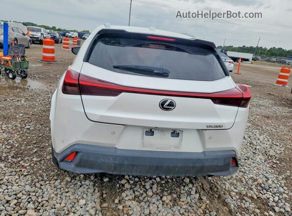 JTHP3JBH1N2046705 2022 LEXUS UX White Widok z tyłu