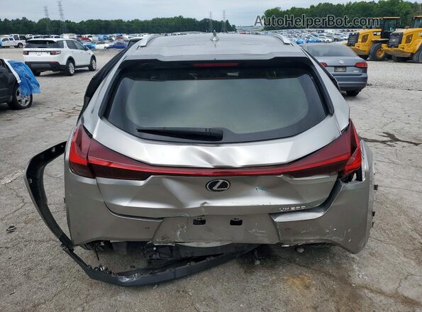 JTHP3JBH3N2049203 2022 LEXUS UX Gray Вид ззаду
