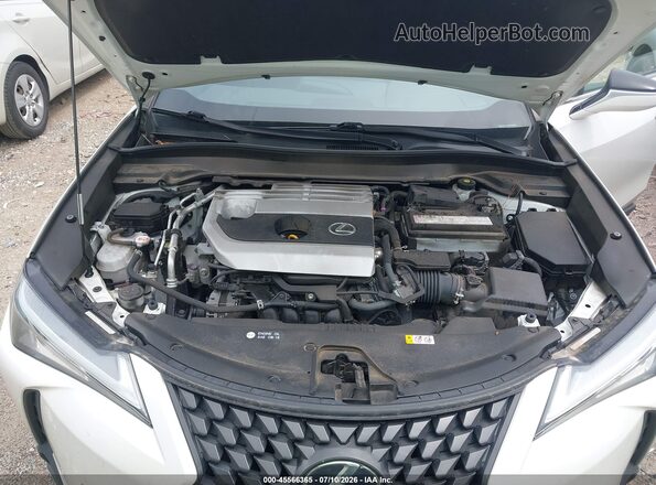 JTHP3JBH3N2049816 2022 LEXUS UX 200 White Widok z tyłu
