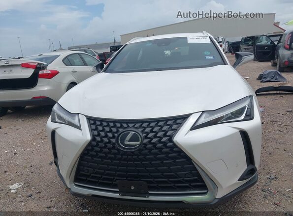 JTHP3JBH3N2049816 2022 LEXUS UX 200 White Widok wnętrza z tyłu