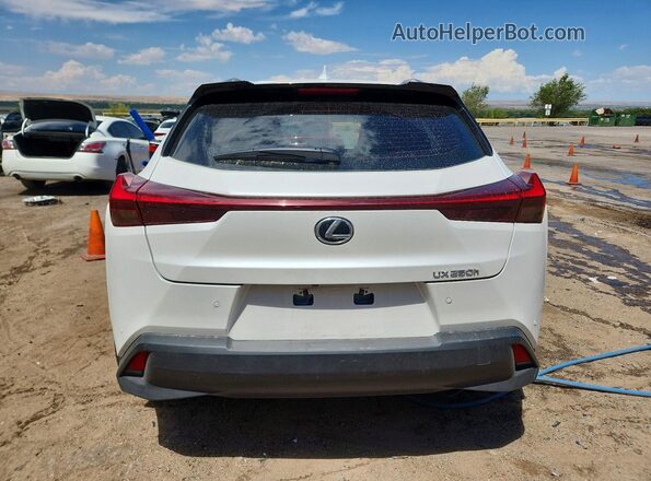 JTHP6JBH4P2159509 2023 LEXUS UX White უკანა ხედი