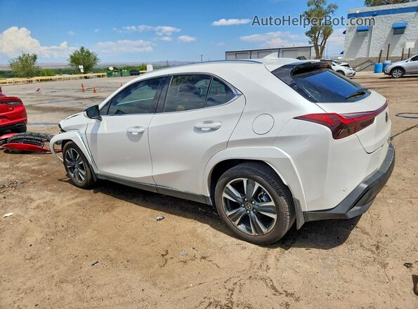 JTHP6JBH4P2159509 2023 LEXUS UX White უკანა მარცხენა