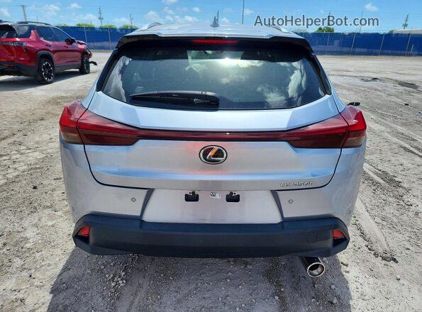 JTHP6JBHXP2152371 2023 LEXUS UX Silver Rear view