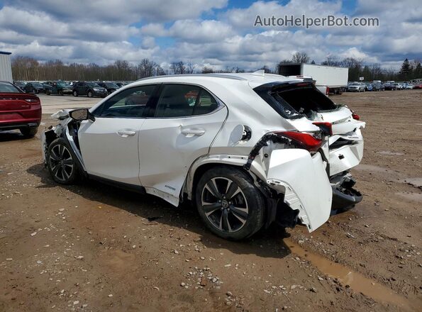 JTHP9JBH0L2024075 2020 LEXUS UX White Հետևի ձախ