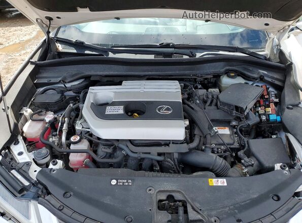JTHP9JBH0L2024075 2020 LEXUS UX White Սալոնի հետևի տեսք
