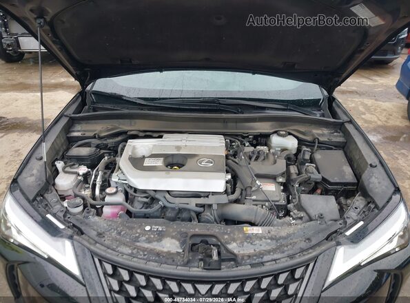 JTHP9JBH0N2061503 2022 LEXUS UX 250H Черный Вид сзади