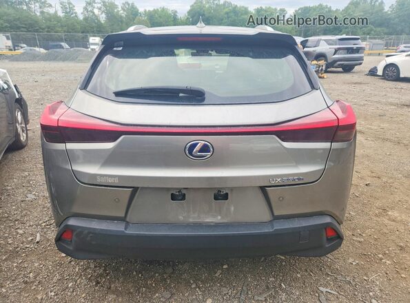 JTHP9JBH0N2062716 2022 LEXUS UX Gold უკანა ხედი