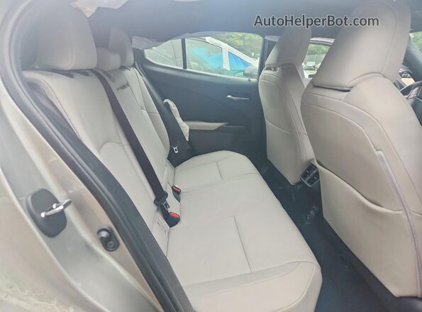 JTHP9JBH0N2062716 2022 LEXUS UX Gold უკანა სალონის ხედი
