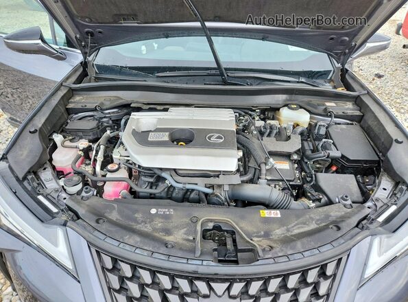 JTHP9JBH1M2051478 2021 LEXUS UX Gray Widok wnętrza z tyłu