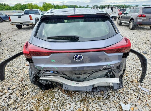 JTHP9JBH1M2051478 2021 LEXUS UX Gray Widok z tyłu