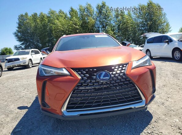 JTHP9JBH4L2022331 2020 LEXUS UX Orange Widok z przodu