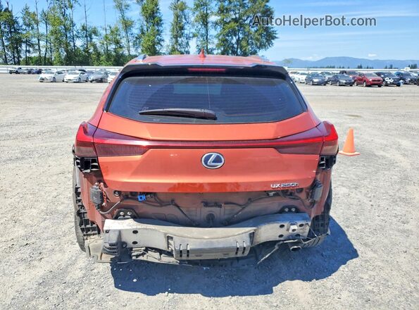 JTHP9JBH4L2022331 2020 LEXUS UX Orange Widok z tyłu