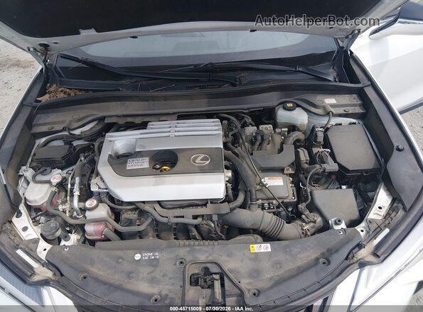 JTHP9JBH4L2036567 2020 LEXUS UX 250H Белый Вид сзади