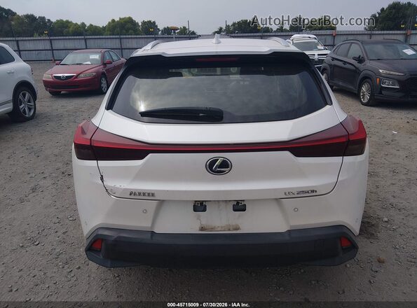 JTHP9JBH4L2036567 2020 LEXUS UX 250H Белый 