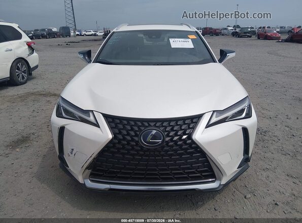 JTHP9JBH4L2036567 2020 LEXUS UX 250H Белый Вид задней части салона