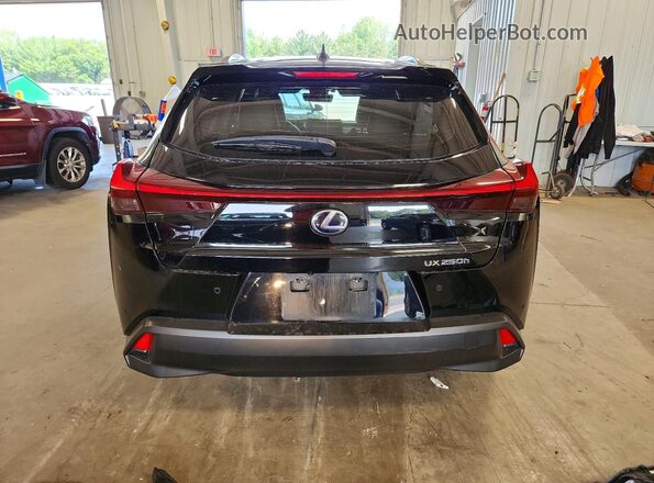 JTHP9JBH4M2041981 2021 LEXUS UX Black უკანა ხედი