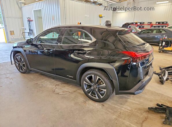 JTHP9JBH4M2041981 2021 LEXUS UX Black უკანა მარცხენა