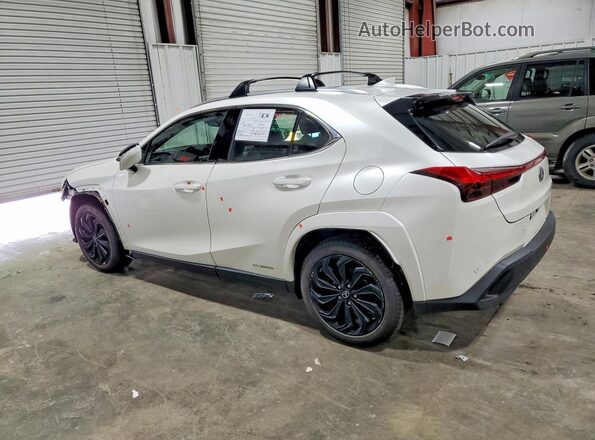 JTHP9JBH4N2062444 2022 LEXUS UX White Trasero izquierdo
