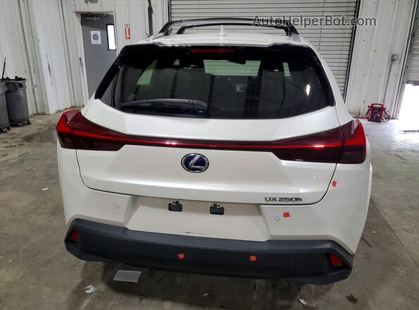 JTHP9JBH4N2062444 2022 LEXUS UX White Vista trasera