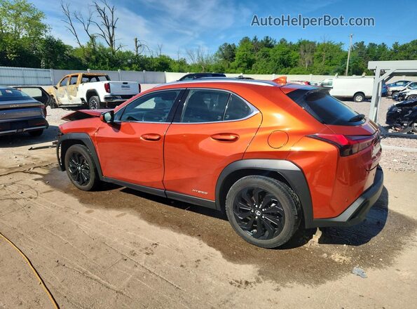JTHP9JBH7M2051369 2021 LEXUS UX Orange Задня ліва чверть