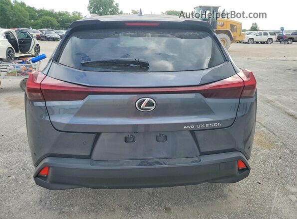 JTHP9JBH7R2073640 2024 LEXUS UX Серый Вид сзади