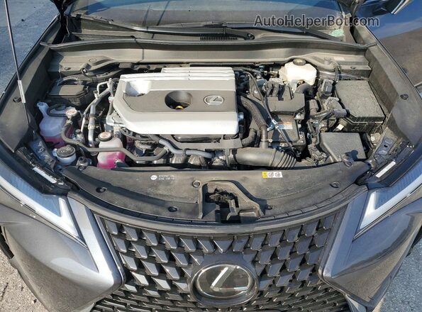 JTHP9JBH7R2073640 2024 LEXUS UX Серый Вид задней части салона
