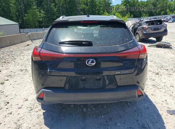 JTHP9JBH8L2035874 2020 LEXUS UX Black Vista trasera