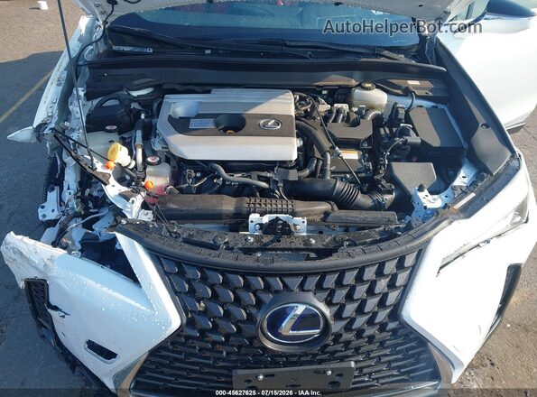 JTHR9JBH0M2045177 2021 LEXUS UX 250H White Rear view