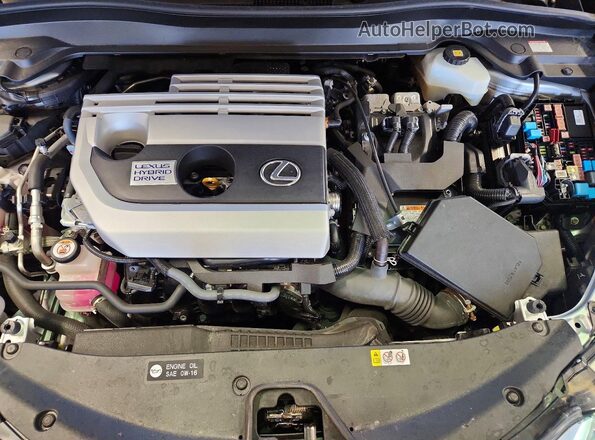 JTHR9JBH1L2025325 2020 LEXUS UX Silver უკანა სალონის ხედი