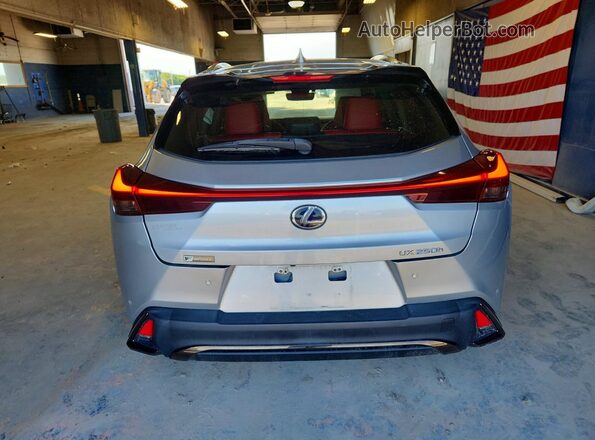 JTHR9JBH1L2025325 2020 LEXUS UX Silver უკანა ხედი