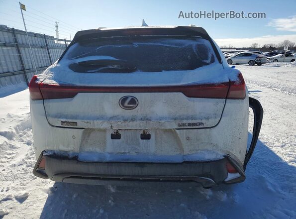 JTHR9JBH5L2028373 2020 LEXUS UX White Widok z tyłu