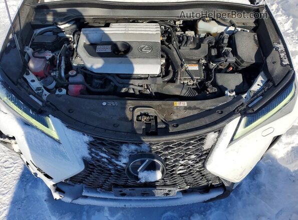 JTHR9JBH5L2028373 2020 LEXUS UX White Widok wnętrza z tyłu