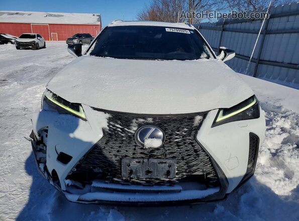 JTHR9JBH5L2028373 2020 LEXUS UX White Widok z przodu