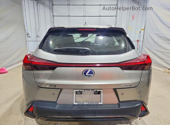JTHR9JBH6M2051498 2021 LEXUS UX Silver Вид ззаду