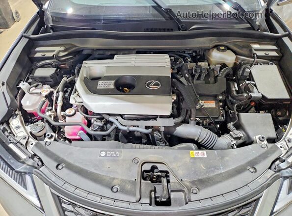 JTHR9JBH6M2051498 2021 LEXUS UX Silver Вид задньої частини салону