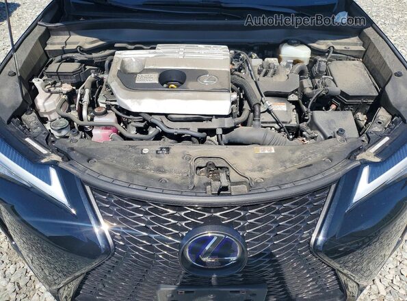 JTHR9JBH6M2053834 2021 LEXUS UX Black Вид задньої частини салону