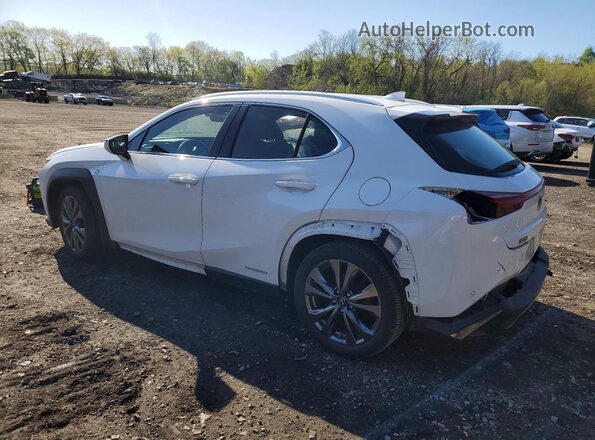 JTHR9JBH9M2040723 2021 LEXUS UX Белый Задняя левая четверть