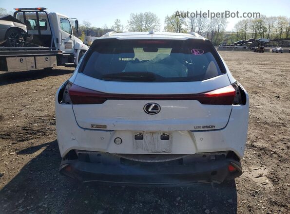 JTHR9JBH9M2040723 2021 LEXUS UX Белый Вид сзади