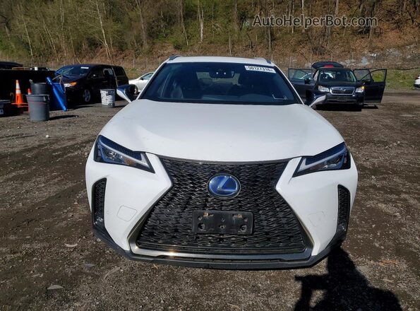 JTHR9JBH9M2040723 2021 LEXUS UX Белый Вид спереди