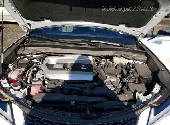 JTHR9JBH9M2040723 2021 LEXUS UX Белый Вид подкапотного пространства