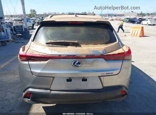 JTHU9JBH1K2004029 2019 LEXUS UX 250H Gray 