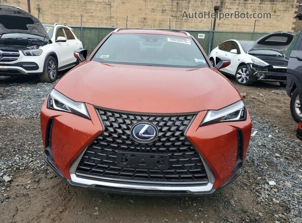 JTHU9JBH1K2005388 2019 LEXUS UX Orange Widok z przodu