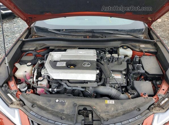 JTHU9JBH1K2005388 2019 LEXUS UX Orange Widok wnętrza z tyłu