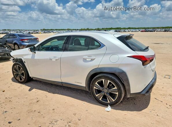 JTHU9JBH2K2013919 2019 LEXUS UX White Задня ліва чверть