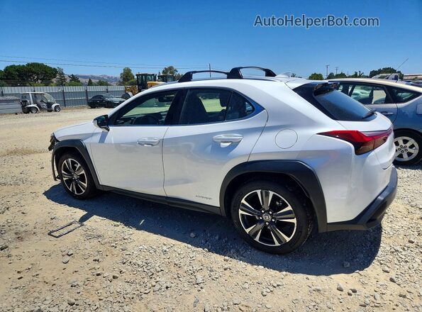 JTHU9JBH4K2006826 2019 LEXUS UX White Հետևի ձախ