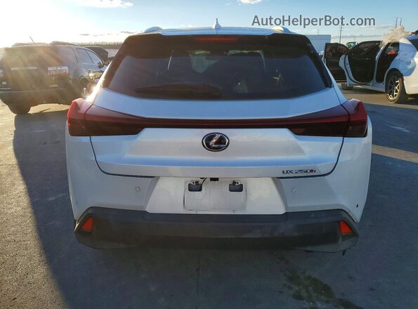 JTHU9JBH5K2016135 2019 LEXUS UX White Vista trasera