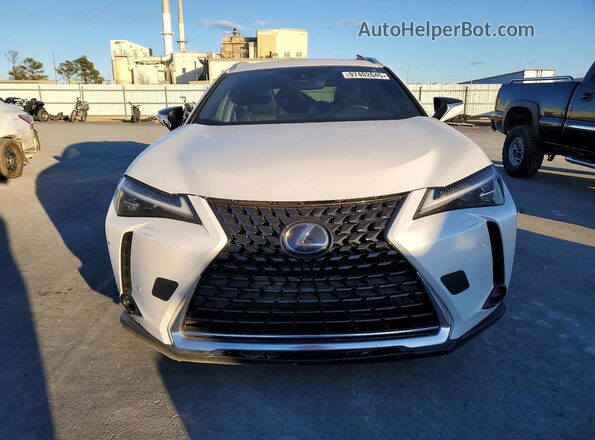 JTHU9JBH5K2016135 2019 LEXUS UX White Vista frontal