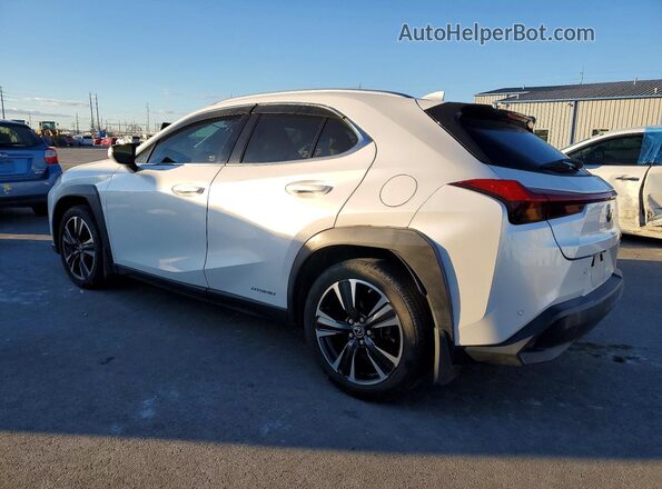 JTHU9JBH5K2016135 2019 LEXUS UX White Trasero izquierdo