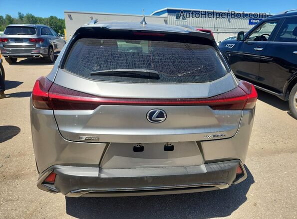 JTHU9JBH6K2001448 2019 LEXUS UX Silver Widok z tyłu