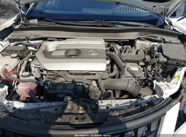 JTHU9JBH6K2016127 2019 LEXUS UX 250H Белый Вид сзади
